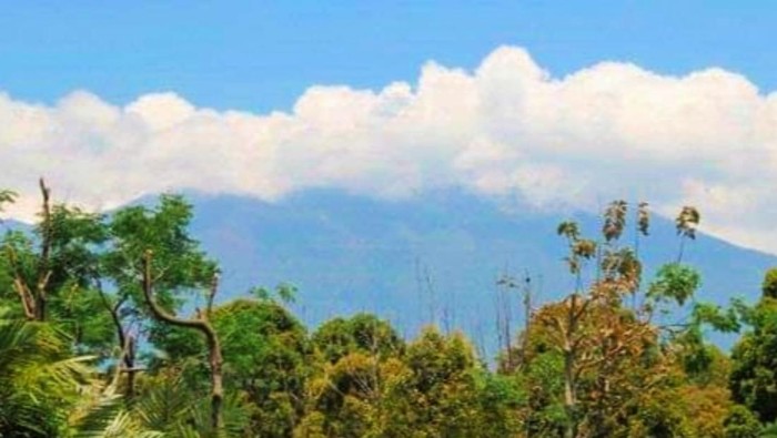 Erupsi Gunung Raung