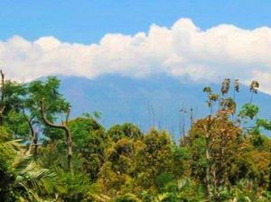 4 Kecamatan di Banyuwangi Rawan Terdampak Erupsi Gunung Raung