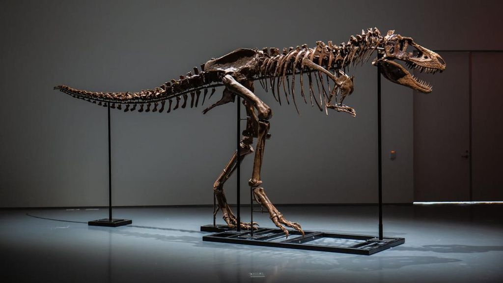 Kerangka Dinosaurus Laku Rp 89,2 M di Pelelangan