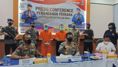 Jumpa pers penangkapan 15 penyu hijau di Ditpolairud Polda Bali, Denpasar, Bali, Jumat (29/7/2022).