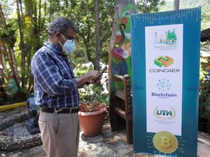 Melihat Transaksi Sehari-hari di Honduras yang Mulai Pakai Bitcoin