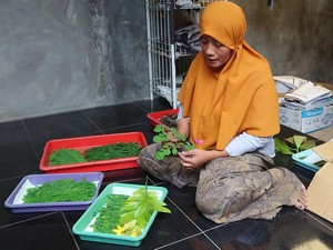 Cantiknya Kreasi Membuat Kain Ecoprint dari Bahan Alam