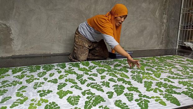 Kreasi Membuat Kain Ecoprint Dari Bahan Alam