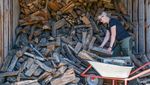 Krisis Gas Hantui Eropa, Warga Jerman Timbun Kayu Bakar, Ini Fotonya