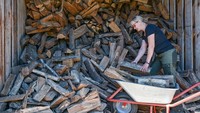 Seorang warga, Monique Müller memilah kayu bakar di area permukiman. Jerman selama ini menggantungkan diri pada gas dari Rusia. Namun Kremlin sendiri terus memangkas aliran gas ke Jerman dan Eropa hingga menjadi 20% dari kapasitas normal. Bahkan Rusia secara terang-terangan mengancam bisa menghentikan pasokan gas ke Jerman sewaktu-waktu. (Patrick Pleul/picture alliance/Getty Images)