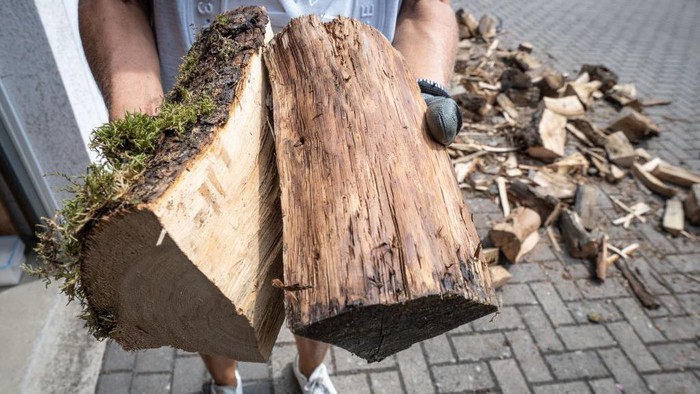 Krisis Gas Hantui Eropa, Warga Jerman Mulai Timbun Kayu Bakar 25 July 2022, Hessen, Frankfurt/Main: A resident carries freshly delivered firewood into a garage. Photo: Frank Rumpenhorst/dpa (Photo by Frank Rumpenhorst/picture alliance via Getty Images)