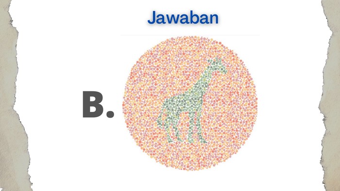 Gambar jerapah terdapat pada opsi B.