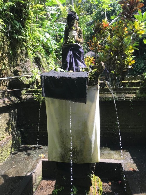 Beji Pura Puseh Kubontingguh, Tabanan, Bali, yang menjadi sumber bahan baku air kemasan Tirta Amerta Kubontingguh.