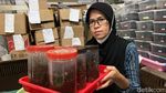 Tarantula Penghasil Cuan