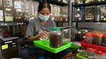 Tarantula Penghasil Cuan