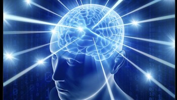 Ada 8 platform digital yang diblokir per 30 Juli ini, yaitu Steam, Yahoo search engine, Epic Games, Dota2, Counter Strike, Origin.com, Xandr, dan PayPal. Foto: Twitter