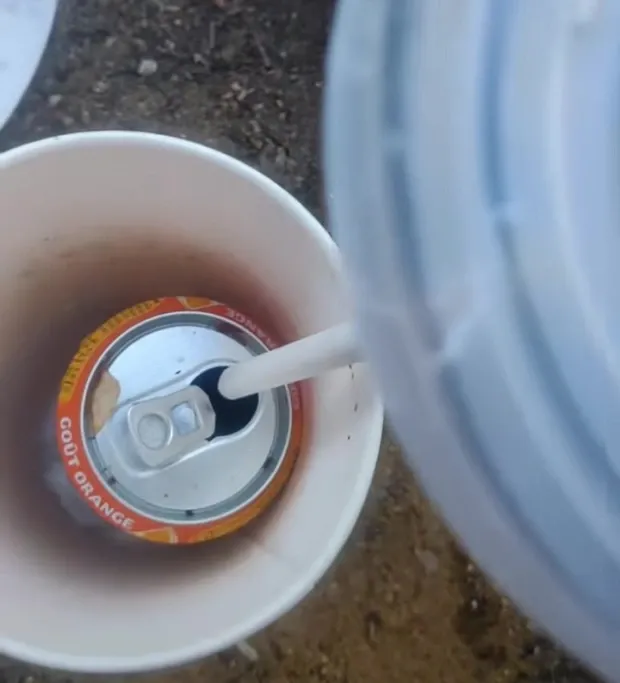tips minuman kaleng supaya tetap dingin