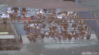 Laga ini tergolong sepi, hanya ada 5 ribuan Bobotoh di stadion. (Foto: Wisma Putra/detikJabar)