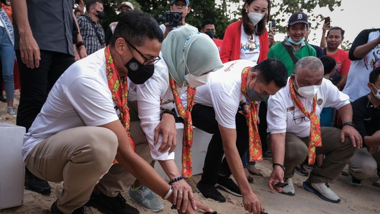 Sandiaga Uno lepas tukik di Likupang Sandiaga Uno lepas tukik di Likupang