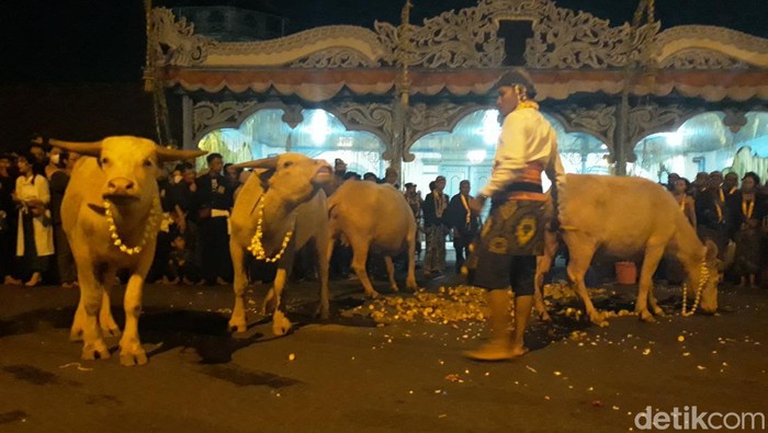 Suasana Kirab Malam 1 Suro di Keraton Solo, Sabtu (29/10/2022).