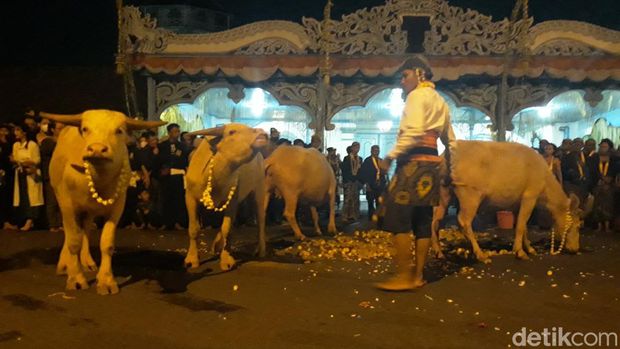 Suasana Kirab Malam 1 Suro di Keraton Solo, Sabtu (29/10/2022).
