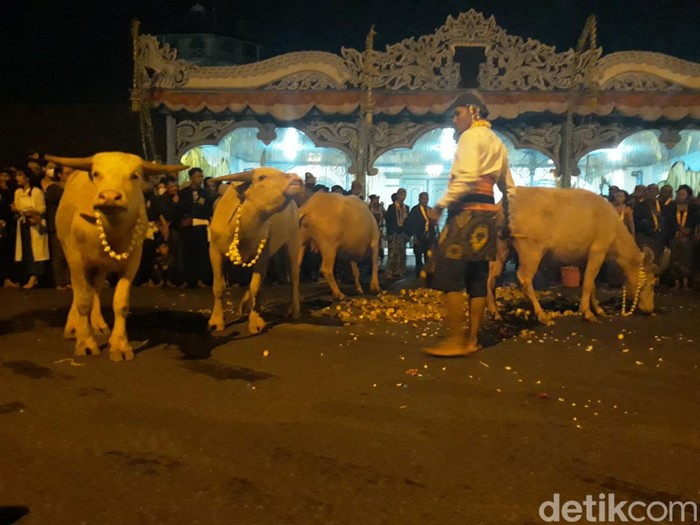 Suasana Kirab Malam 1 Suro di Keraton Solo, Sabtu (29/10/2022).
