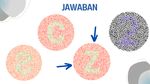 Tes Buta Warna, Pastikan Kamu Tak Salah Jawab!