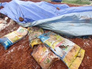 Beras Bansos Berkarung-karung di Depok Dikubur 2 Tahun Lalu