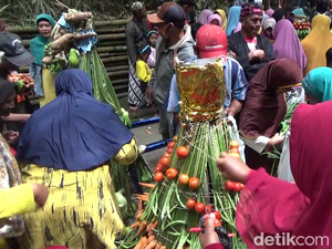 Grebeg Suro di Lereng Semeru, Semarak Warga Berebut Gunungan