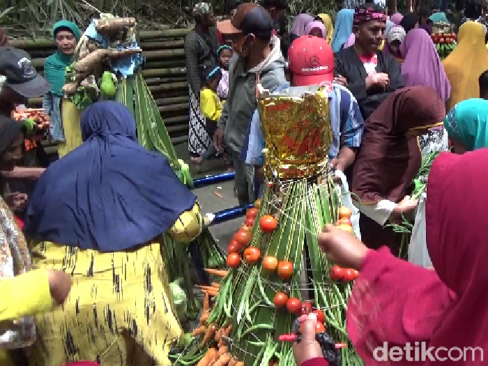 Ratusan warga berebut 21 gunungan berupa hasil pertanian. Seperti padi, jagung, sayur mayur serta buah-buahan.
