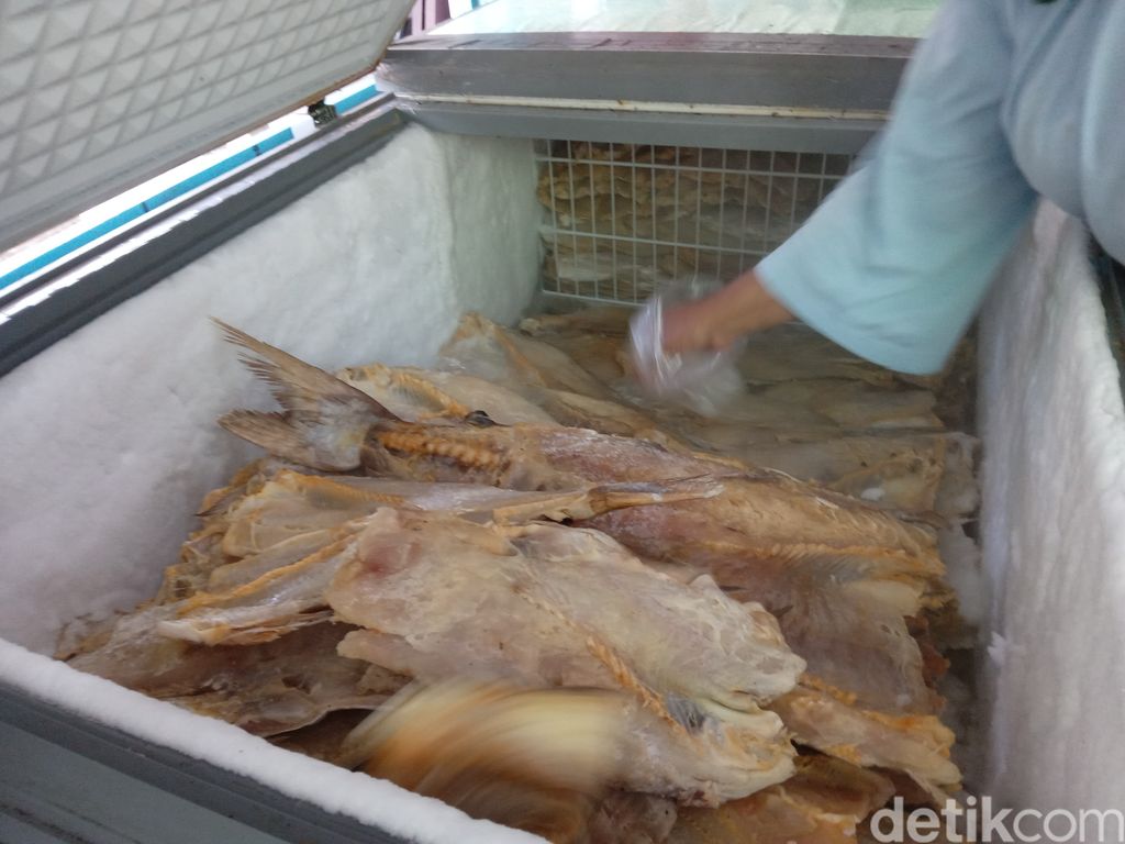 Ikan jambal roti dari Pangandaran
