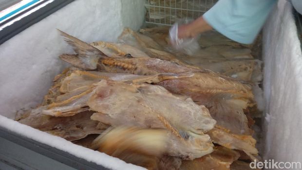 Ikan jambal roti dari Pangandaran