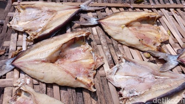 Ikan jambal roti dari Pangandaran
