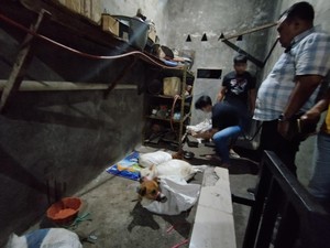 Pencinta Satwa Desak Gubernur Jatim Bikin Aturan Larangan Konsumsi Anjing