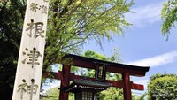 Salah satu gerbang torii Nezu Shrine