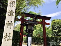 Ngawur, Turis Jadikan Gerbang Torii di Jepang Jadi Alat Pull-Up