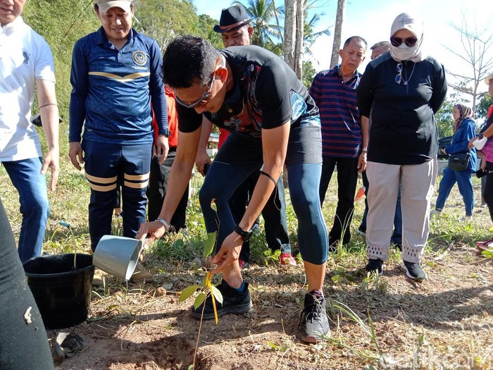 Menparekraf Sandiaga Uno melakukan penanaman pohon.