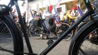 Tak tanggung-tanggung, sebanyak lima ribu peserta ikut ambil bagian dalam kegiatan ini lho.