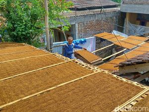 Senjakala Petani Tembakau di Kampung Ciawitali Bandung