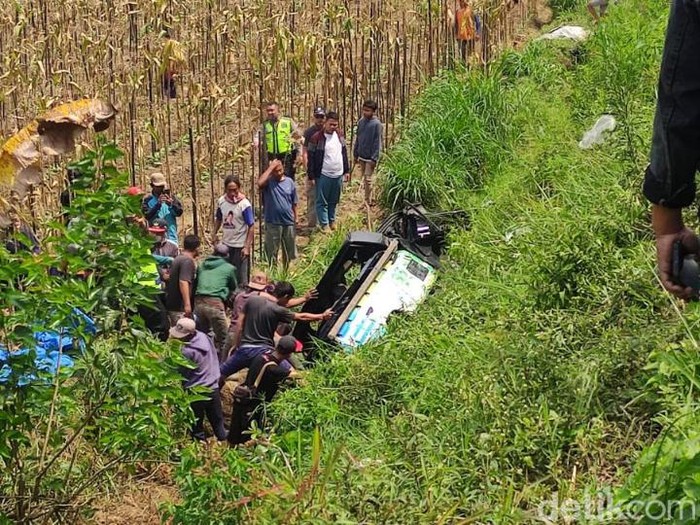Pikap terjun ke sawah di Pujon Malang