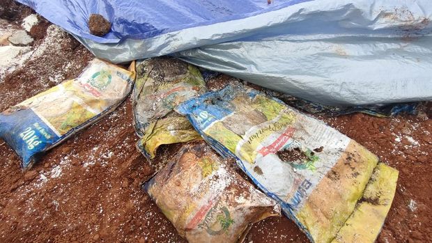 Temuan berkarung-karung beras di tanah lapang wilayah Tirtajaya (Dwi Rahmawati-detikcom)