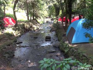 Lagi Hype! Capolaga, Camping Santai di Pinggir Sungai Jernih Subang