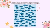 Ternyata, ikan pada gambar berikut tidak semuanya sama.