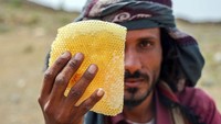 Seorang peternak lebah Yaman menunjukkan sarang madu yang ia panen. Dia memanen madu dengan tangan kosong tanpa pengaman dari sengatan lebah. 