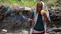 PBB mengatakan madu memainkan peran penting bagi perekonomian Yaman. Sedikitnya 100.000 rumah tangga bergantung kepada pertanian madu untuk mata pencaharian mereka.