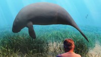 Salah satu spot museum yang interaktif. Menariknya lagi, wisatawan tidak hanya berkunjung, tapi juga bisa belajar dalam program Ph.D untuk bidang Biologi Komparatif.