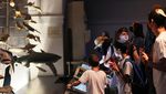Lorong Waktu Itu Bernama Museum Sejarah Alam di New York, Lihat Nih