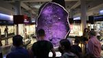 Lorong Waktu Itu Bernama Museum Sejarah Alam di New York, Lihat Nih
