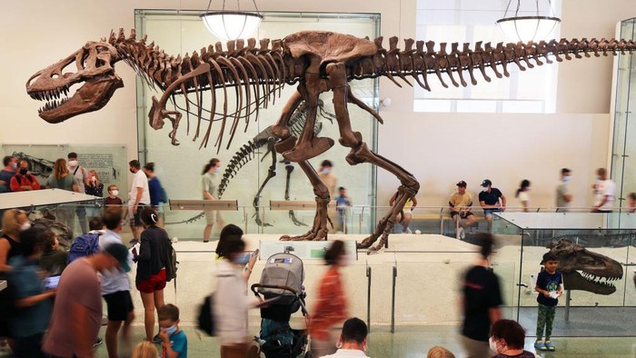 NEW YORK, NEW YORK - JULY 27: People visit the American Museum of Natural History on July 27, 2022 in New York City. NYC & Company announced this week that New York City is projected to have 8.3 million foreign tourists, a 207 percent increase, this year up from 2.7 million last year. In total, New York is expecting to receive 56 million visitors in 2022, which is a 70 percent surge from 2021. Tourists from more than 30 countries were banned from traveling to the U.S. during the height of the coronavirus (COVID-19) pandemic. The CDC last month lifted the negative test requirement for travelers, which is leading the way for the boost in tourism. (Photo by Michael M. Santiago/Getty Images)