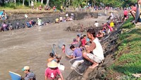 Tradisi bersih sungai dilakukan di sepanjang Sungai Silekor, Desa Semawung Daleman, Kecamatan Kutoarjo. Selain membersihkan sampah, warga juga menangkap ikan bersama-sama dengan alat seadanya seperti jaring, seser, bahkan dengan tangan kosong. (Foto: Rinto Heksantoro/detikJateng)