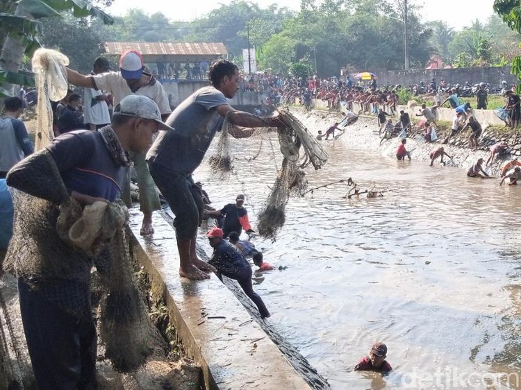 Warga Purworejo Tumpah Ruah Berburu Ikan di Acara Bersih Sungai