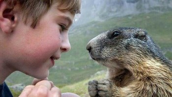 So sweet... Foto: Instagram/Doggo Taxi