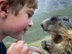 Foto Hewan yang Bikin Gemas Lihatnya, Menambah Semangat di Hari Senin