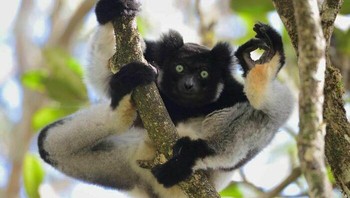 Kamu oke...Foto: Instagram/Doggo Taxi