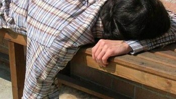 Tidur pulas. Foto: Instagram/Doggo Taxi